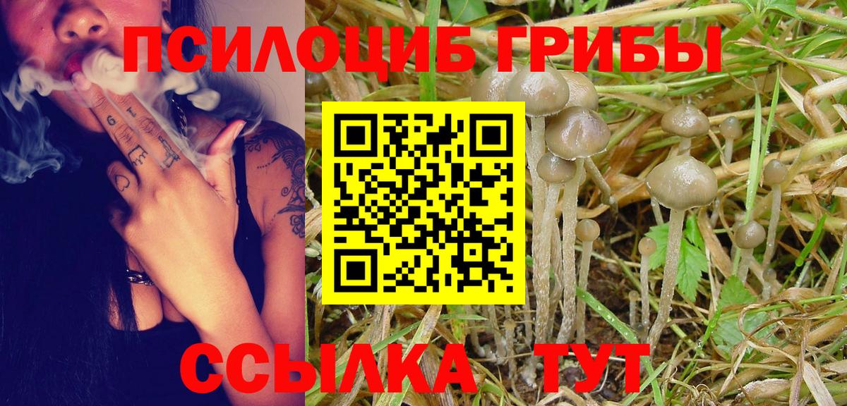 Псилоцибиновые грибы мухоморы Южно-Сахалинск