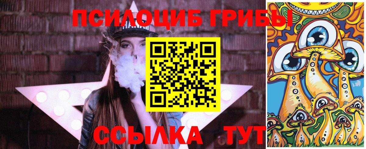 Южно-Сахалинск  Псилоцибиновые грибы Psilocybine cubensis  Вход с VPN 